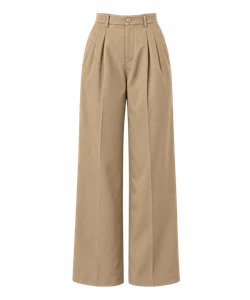 Pleated pants