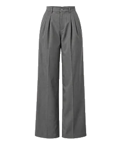 Pleated pants